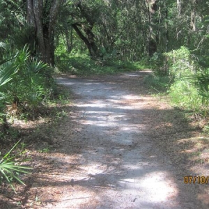 Jay B. Starkey Wilderness Park - Serenova Tract