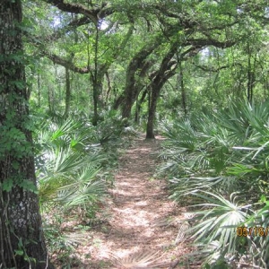 A nice open path in the begining