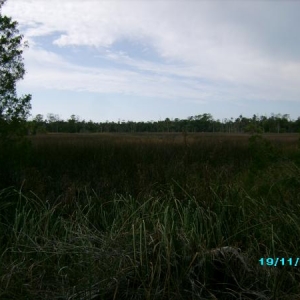 A scenic view from the path