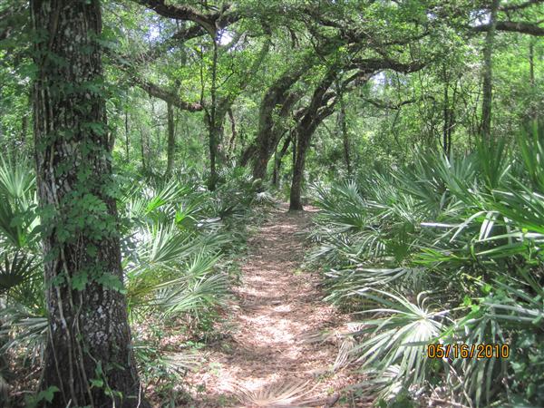 A nice open path in the begining