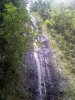 Manoa Falls.jpg