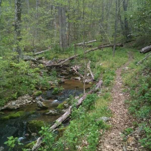 Three Ridges Trail