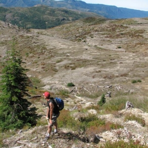 mt st helens national park