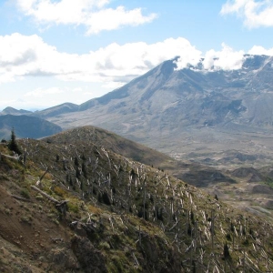 helens with  hood in the far left back ground