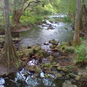 Florida rapids