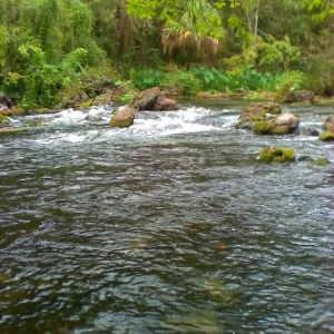 10 05 08 1506 Florida rapids