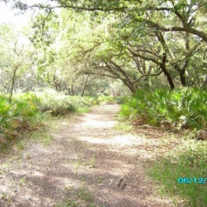 The hiking trail