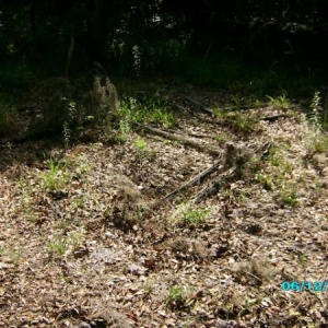 A animal pen at the old Homestead.