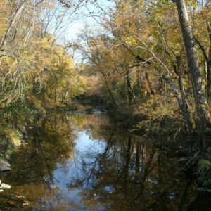 a small creek i came across when out geocaching with my son in our galaxie.