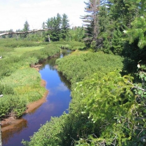 View from High Rock