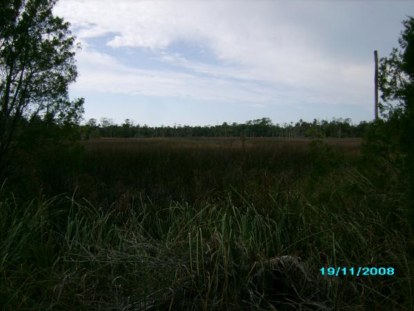 A scenic view from the path