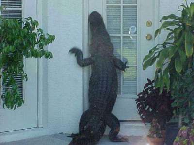 Always lock your door in Florida.