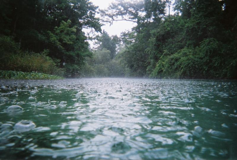 Rain drops on the water