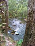 Florida rapids