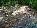 Grave site at the old Homestead.