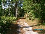 Another view of the hiking trail.