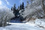 Clingman Dome Road