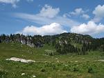 Alpine meadow in the Hunter range near Enderby BC