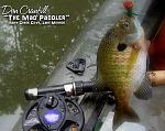 bluegill pick